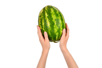 Watermelon in hands isolated on white.Top view.