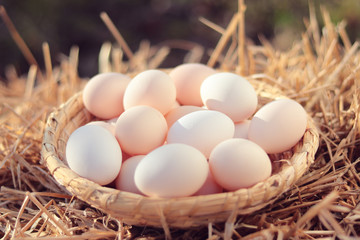 Organic eggs in wicker basket (on straw), sunshine outdoor