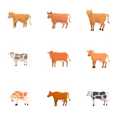 Farm cow animals icon set. Cartoon set of 9 farm cow animals vector icons for web design isolated on white background