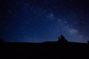 noche estrellada