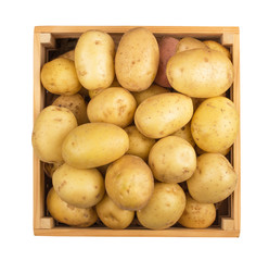 Fresh potatoes  in a wooden box isolated on white background  with clipping path
