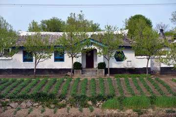 North Korea. Countryside