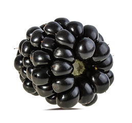 Fresh blackberry isolated on white background with clipping path