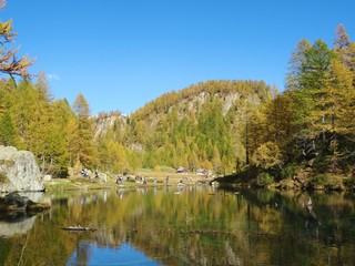 A classic alpine lake immersed in the Nature of the Natural Park "Alpe Veglia and Devero", among the Italian Alps, near the town of Domodossola - October 2018.