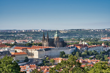Fototapeta premium Prague Castle and Saint Vitus Cathedral, Czech Republic.