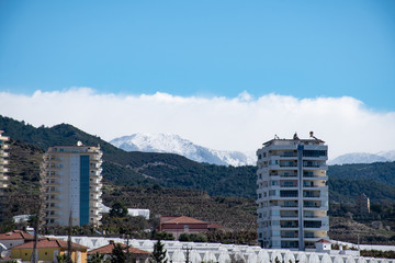 Obraz premium Архитектура и природа