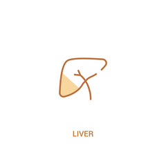 liver concept 2 colored icon. simple line element illustration. outline brown liver symbol. can be used for web and mobile ui/ux.