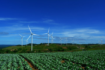 The white electric wind turbine with blue sky and cabbage garden  at Petchaboon, Thailand