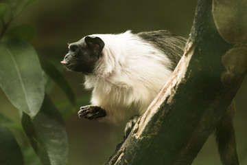 Un signe sur une branche