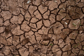 the cracked of  soil in summer from global warming effect and drough