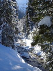 Dolomiten mit 3 Zinnen und Misurina see in Süd Tirol italien