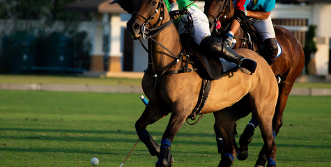 Fototapeta na wymiar Horse polo player use a mallet hit ball, battle in horse polo sport.