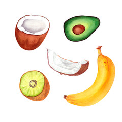 Hand-drawn watercolor illustration. Tropical fruits