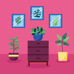 decorative house plants interior design
