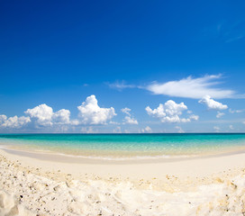 Obraz premium tropical Maldives island with white sandy beach and sea