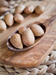 Almond Nuts in shells on the wooden spoon.
