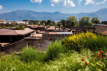 Fototapeta na wymiar Ruins of the ancient city of Pompeii