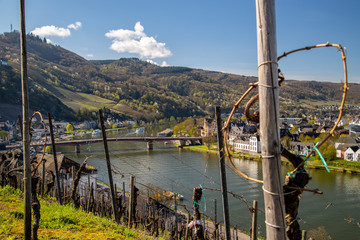 Blick aus den Weinbergen aus die Mosel und auf die Moselbrücke in Bernkastel-Kues