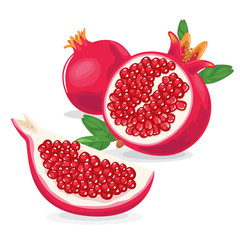 Pomegranate is a fresh red fruit - obrazy, fototapety, plakaty