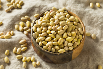 Dry Organic Yellow Mayocoba Beans