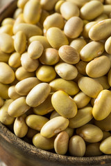 Dry Organic Yellow Mayocoba Beans