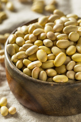 Dry Organic Yellow Mayocoba Beans