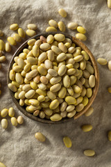 Dry Organic Yellow Mayocoba Beans