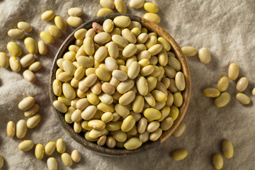 Dry Organic Yellow Mayocoba Beans
