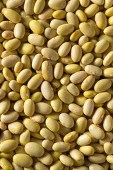 Dry Organic Yellow Mayocoba Beans