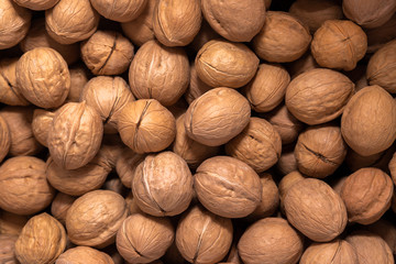 Background for wallpaper in the form of a pattern of walnuts.