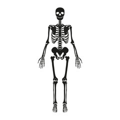 The skeleton of a man