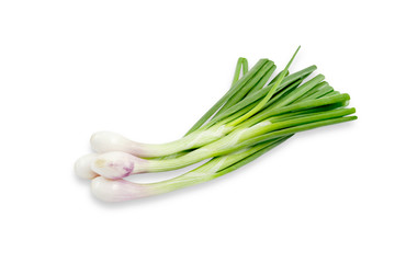Green fresh onion isolated on white background. Fresh scallion, File contains with clipping path so easy to work.