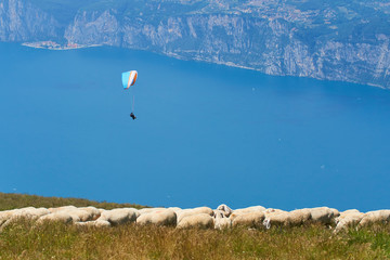 Paraglider flying over the Garda Lake (Lago di Garda or Lago Benaco). Paragliding on Monte Baldo. Panorama of the gorgeous Garda lake surrounded by mountains, Malcesine, Italy