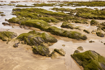 Landscapes of the Alentejana coast of Portugal