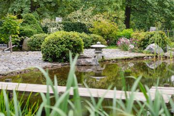 Fototapeta na wymiar Traditional Japanese garden with a pond