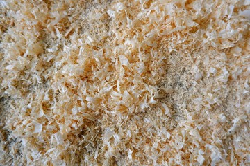 Fresh pine wood sawdust texture background