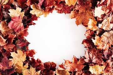 Autumn creative composition. Beautiful dried maple leaves on white background. Fall concept. Autumn background. Flat lay, top view, copy space