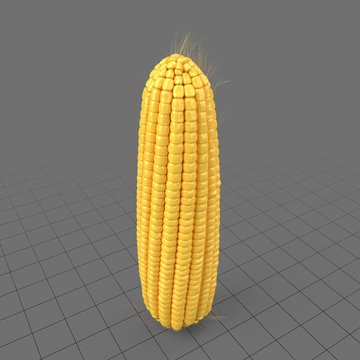 Corncob 2