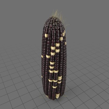 Corncob 1