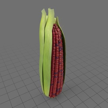Red corncob with husk 1
