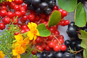 Ripe berries of black chokeberry and red viburnum on wooden background