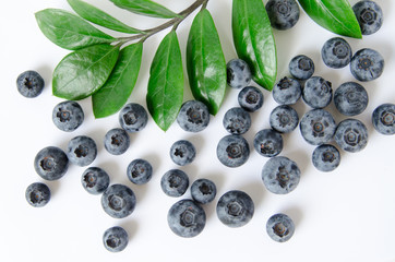 fresh blueberries on white background