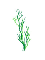 algen unterwasser korallen ast geäste pflanze gras baum kahl ohne blätter natur clipart design cool dekorativ schön hübsch