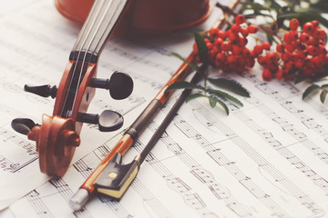 violin and ashberry on musical sheets, classical music, change of seasons, autumn still life