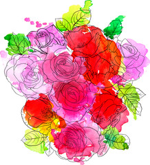 vector drawing flowers of roses