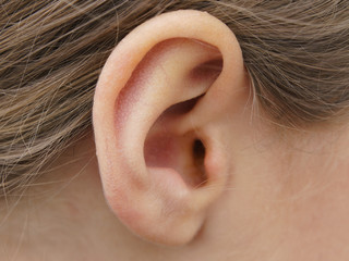 Photograph of a child’s ear.