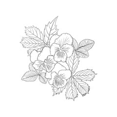vector drawing flowers