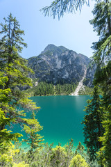 Fototapeta na wymiar Der Pragser Wildsee mit glasklarem Wasser