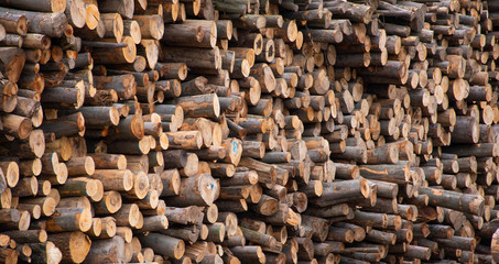 Lumber Log Wood Stock Pile 