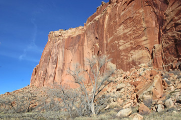 Fototapeta premium Capitol Reef National Park, Utah, in winter